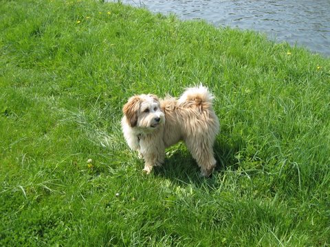 Tilly